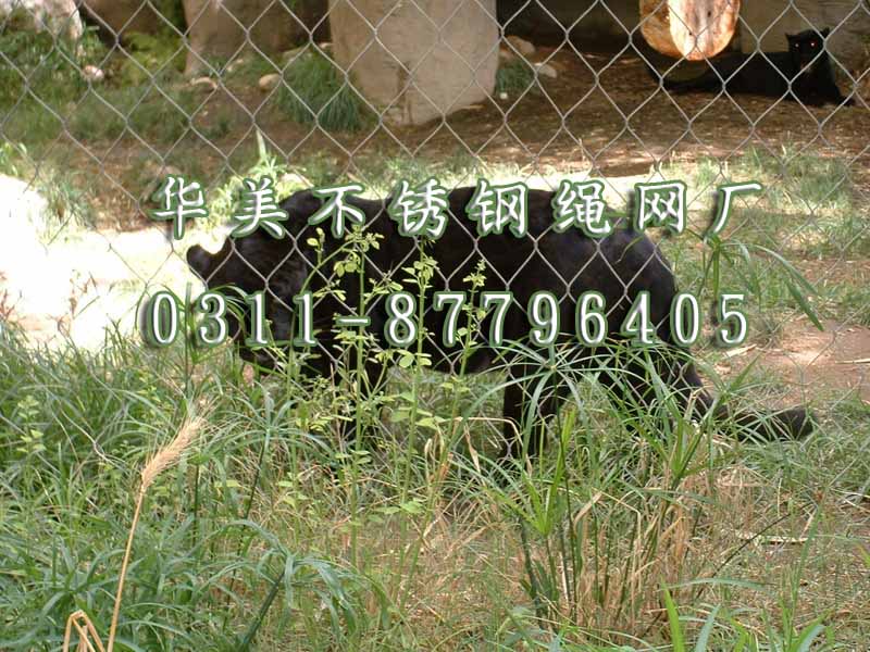 大型猫科动物不锈钢丝网.jpg
