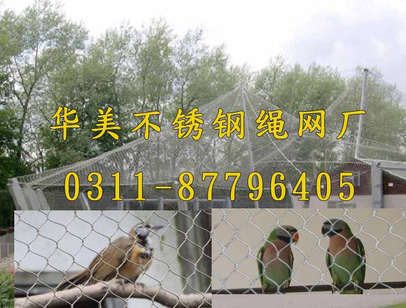 虎皮鹦鹉编织网，钢丝绳鹦鹉网.jpg
