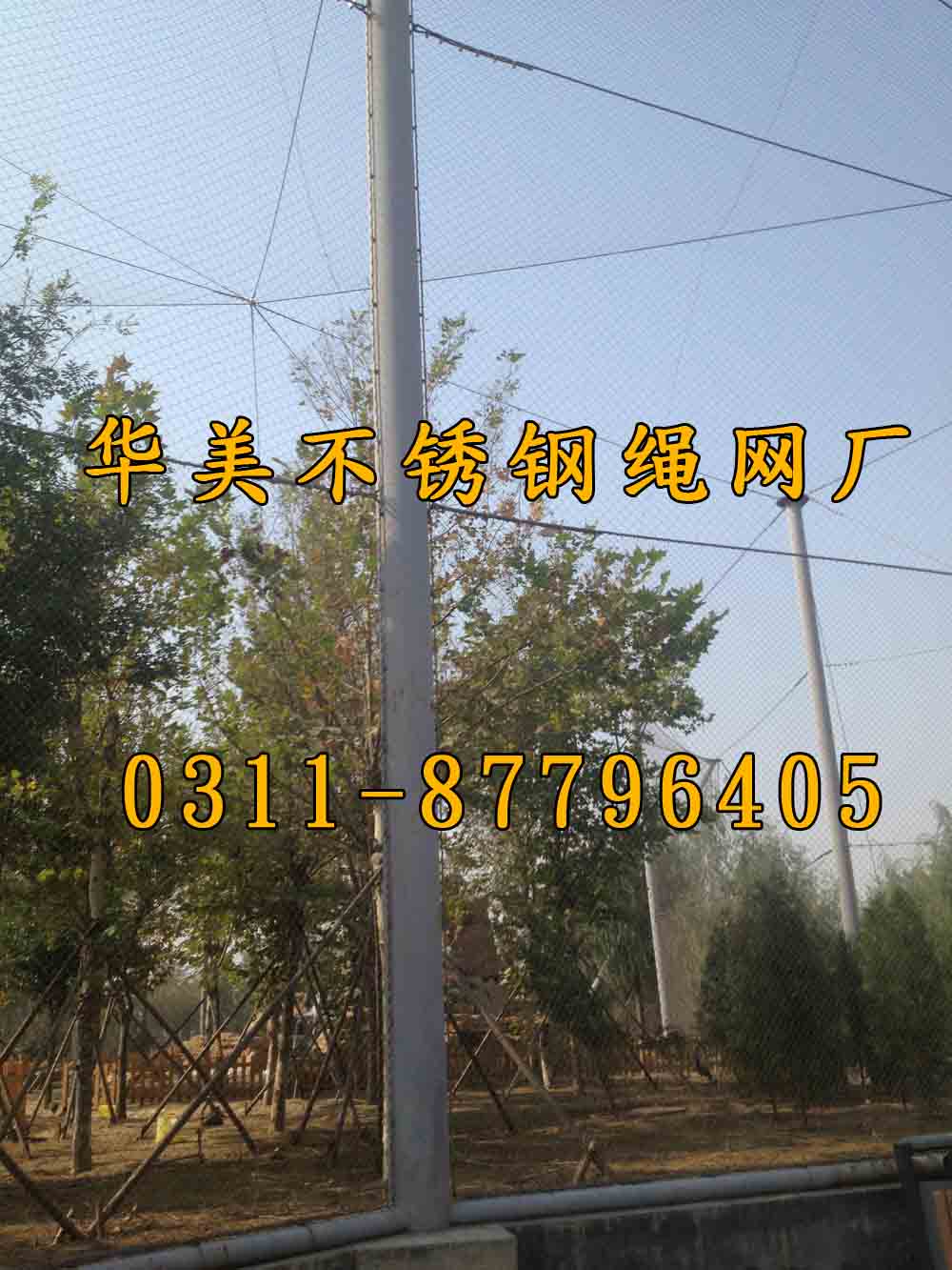 钢丝绳鸟语林网，不锈钢鸟网，百鸟园鸟网.jpg