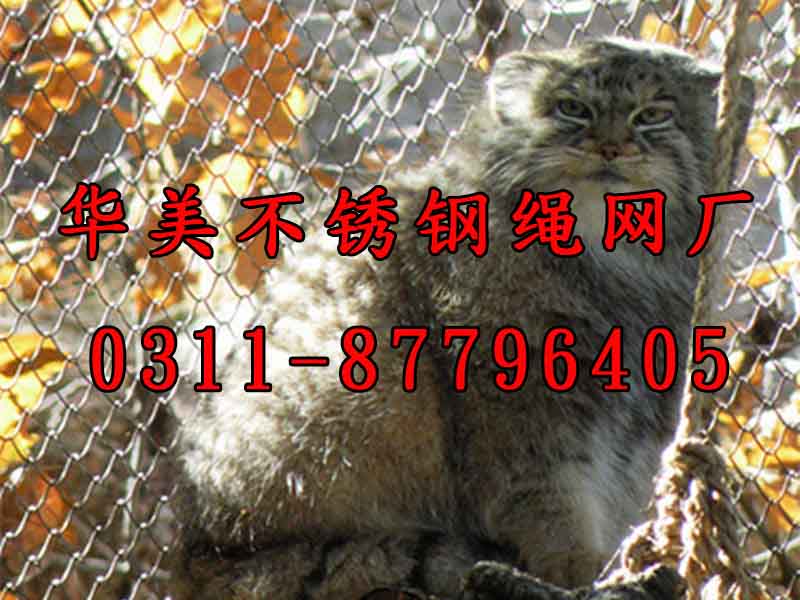小猫科动物钢丝绳隐蔽围网、不锈钢编织围网、钢丝绳动物护栏网.jpg