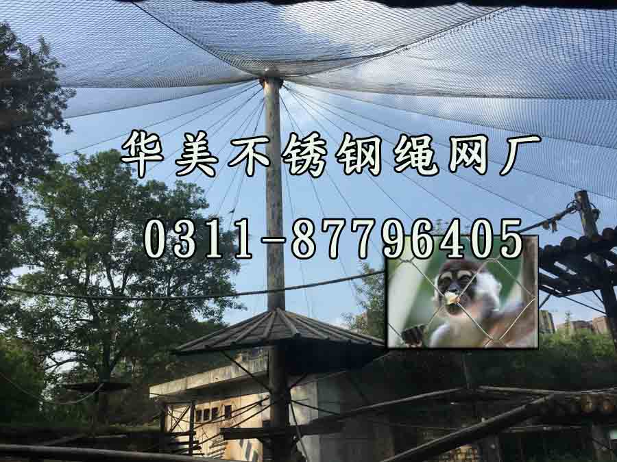 猴围网、猴笼舍网、不锈钢丝绳猴子围网.jpg