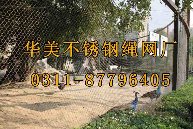 大型鸟园天网、百鸟乐园天网.jpg
