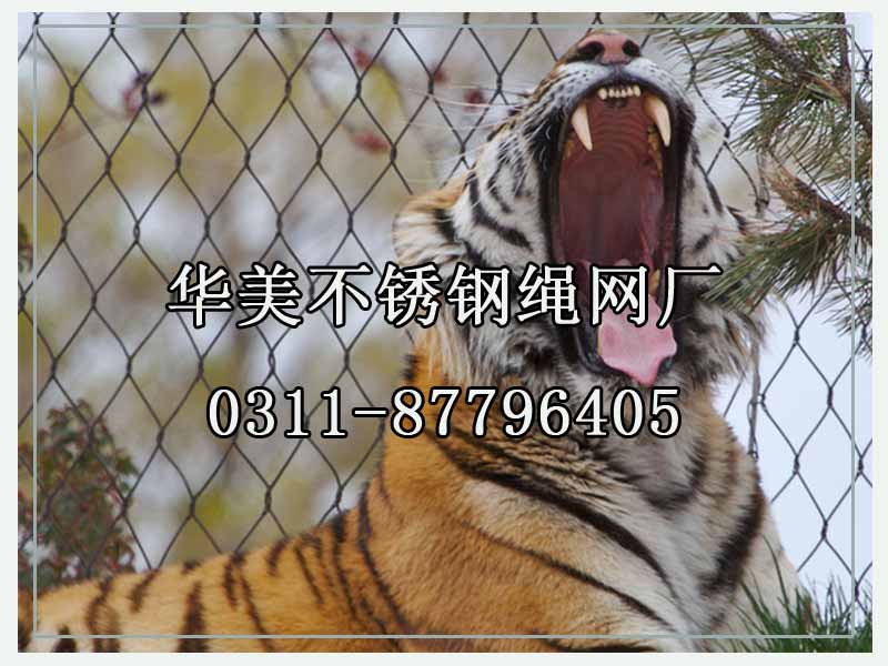 动物园金属围网、不锈钢绳网.jpg