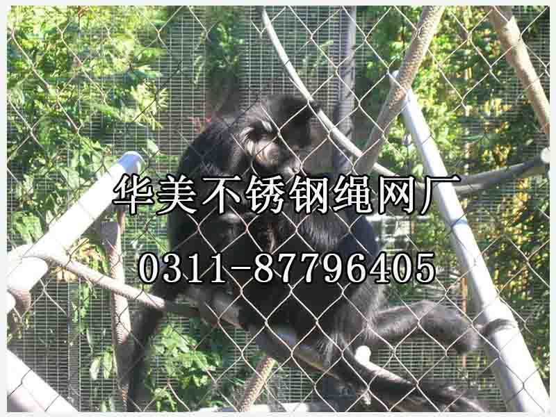 动物园金属围网、猴笼舍网.jpg
