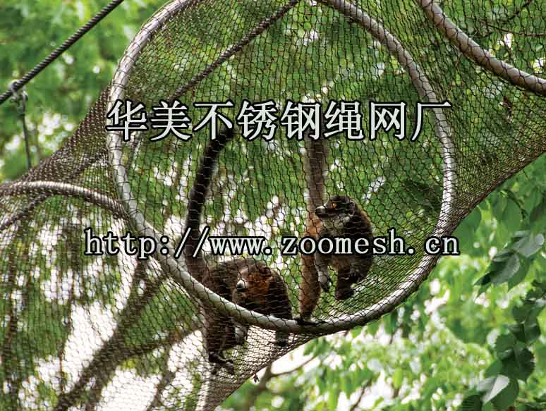 猴子高空攀爬不锈钢编织通道、动物攀爬走廊通道、猴子笼舍围网.jpg