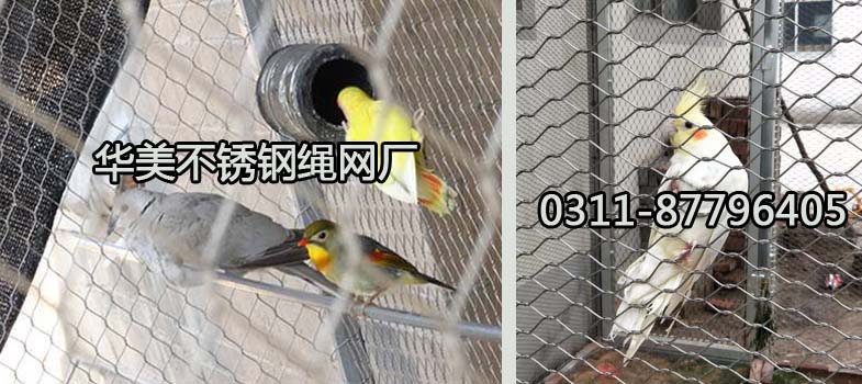 鸟类不锈钢丝绳防护网、鸟类展览馆钢丝绳网.jpg