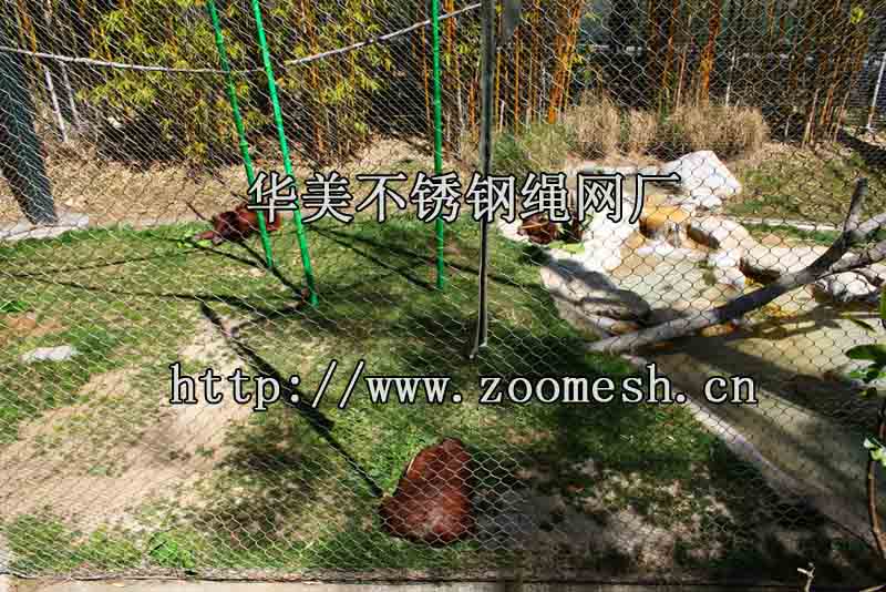野生动物园钢丝绳围栏网、不锈钢动物园围网.jpg