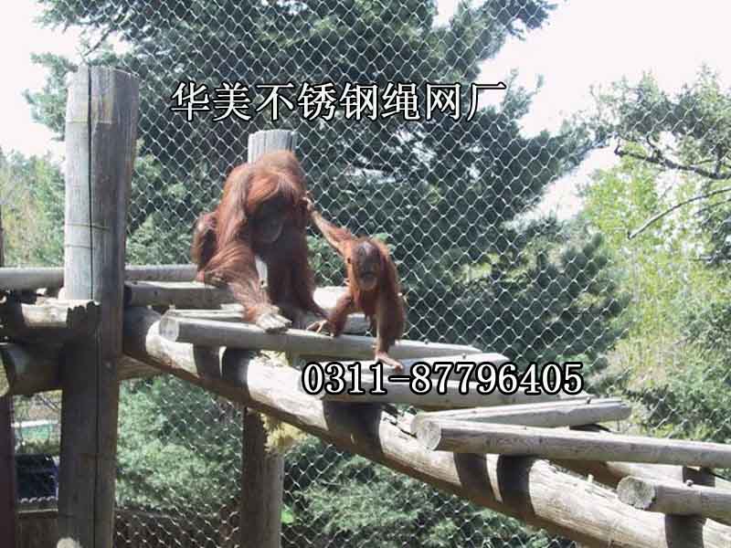 长臂猿围栏，长臂猿栅栏网，黑猩猩笼.jpg