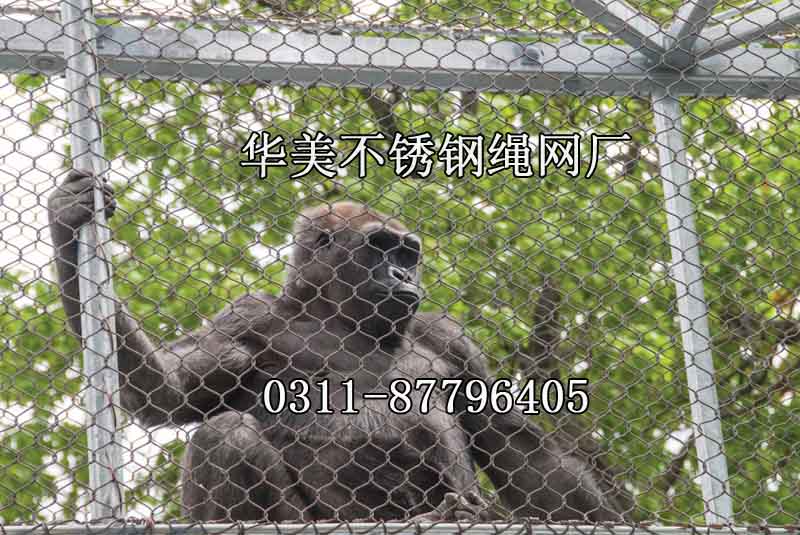 长臂猿围栏，长臂猿栅栏网，黑猩猩笼.jpg