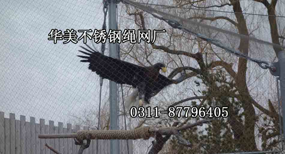 不锈钢鹰栅栏网，鹰笼网，鹰展览防护网.jpg