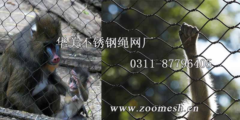 黑色氧化钢丝绳狒狒防护网、黑色氧化猴笼舍网.jpg