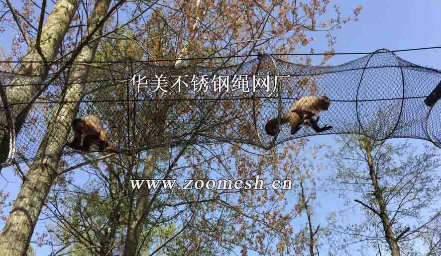 黑色氧化钢丝绳狒狒防护网、不锈钢猴通道网.jpg