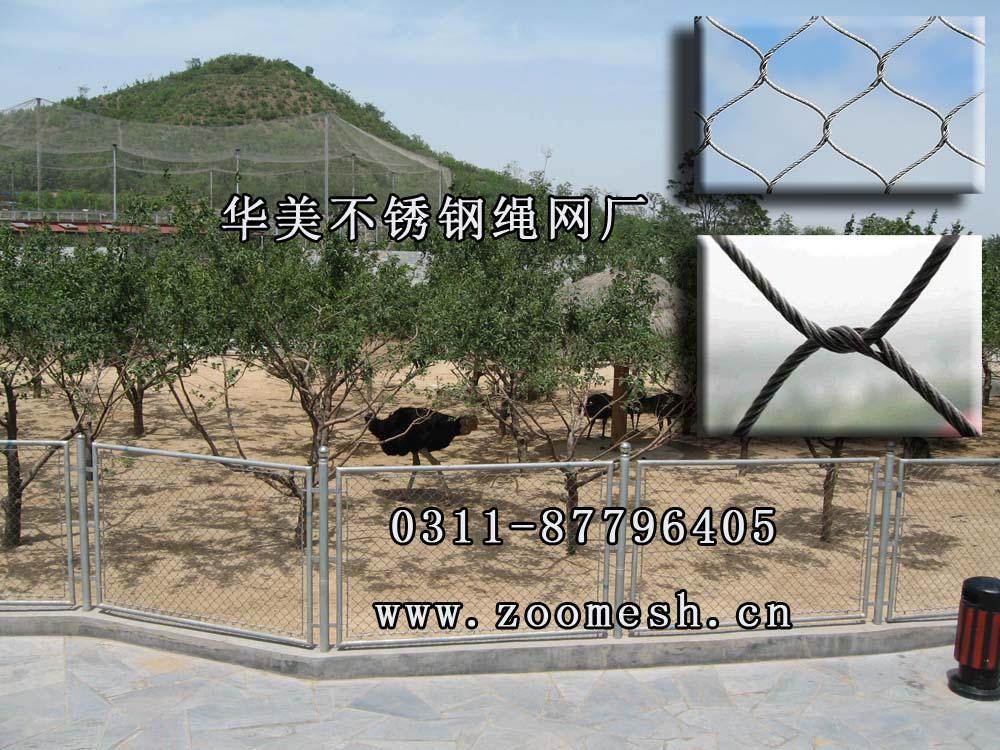 定制钢丝绳网动物园鸟舍工厂价格？-华美绳网.jpg