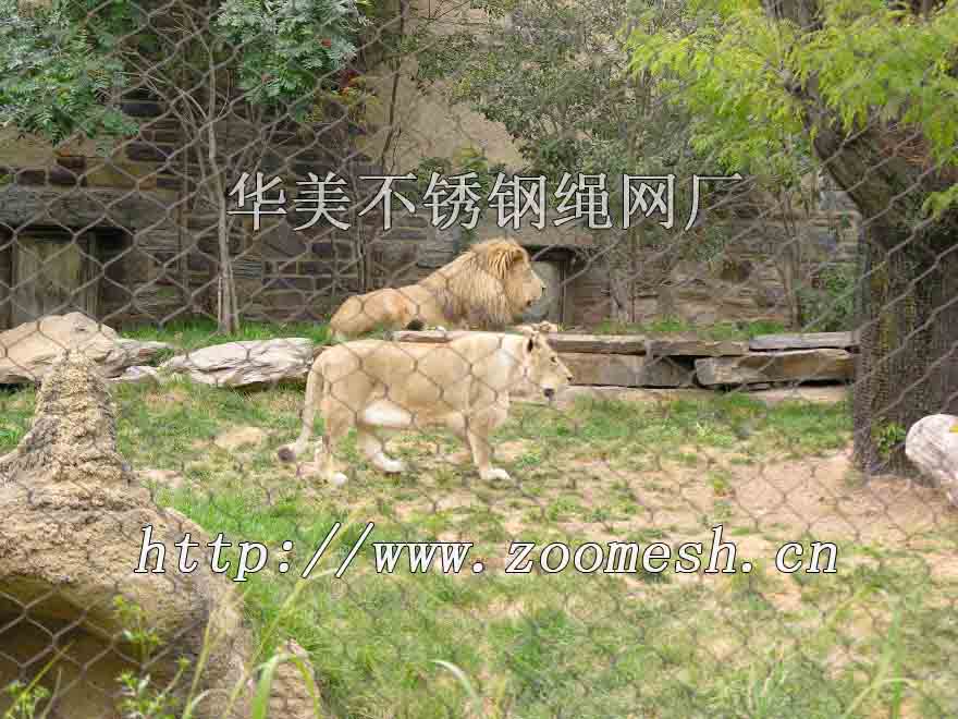 狮子动物园编织网、狮子笼舍编织网销售.jpg