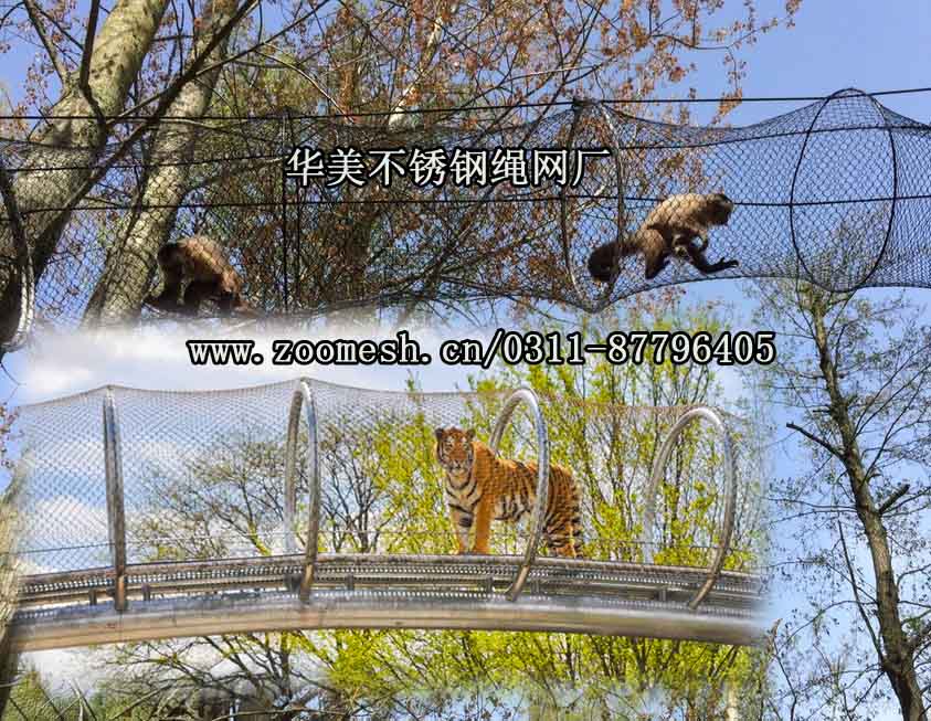 不锈钢通道网、猴子攀爬网、不锈钢隧道网.jpg