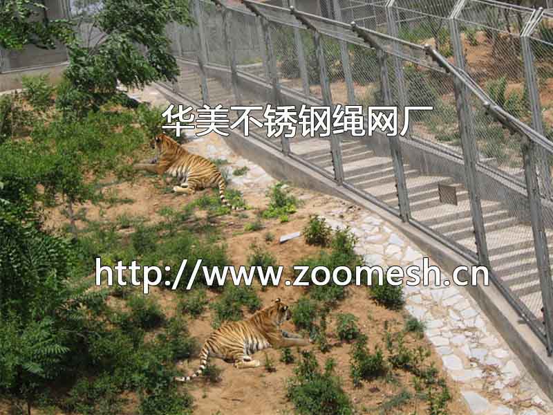 动物园老虎围栏栏杆网、不锈钢绳编织网.jpg