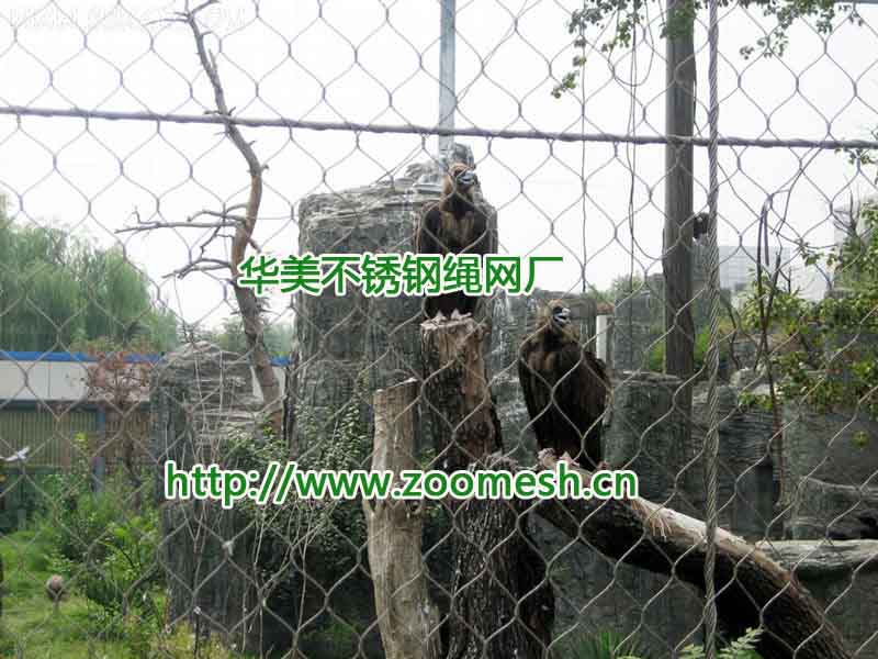 不锈钢绳网鹰笼舍网、304动物园用不锈钢丝网.jpg