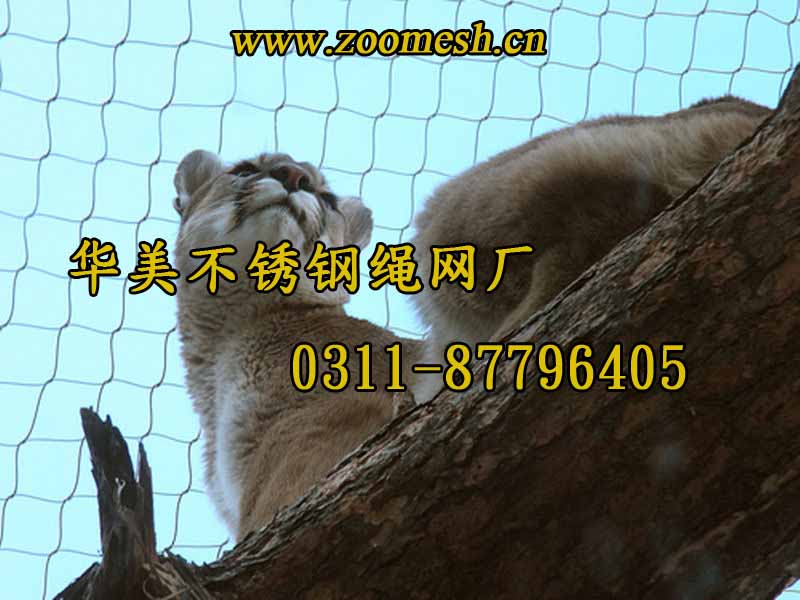 动物园金属编织丝网、不锈钢狮子编织网.jpg