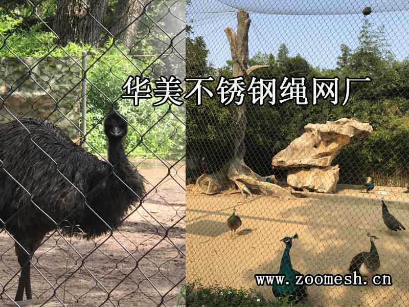 不锈钢编织丝网鸟舍、不锈钢鸟语林网.jpg