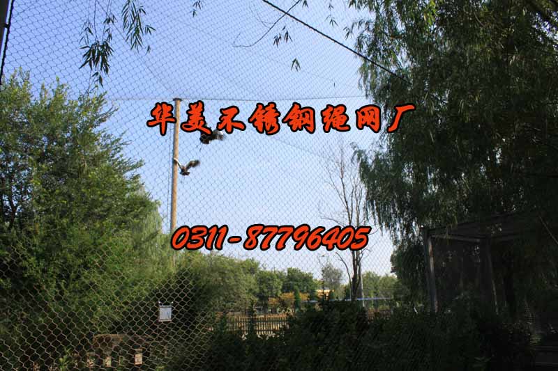 不锈钢大鸟笼舍网.jpg