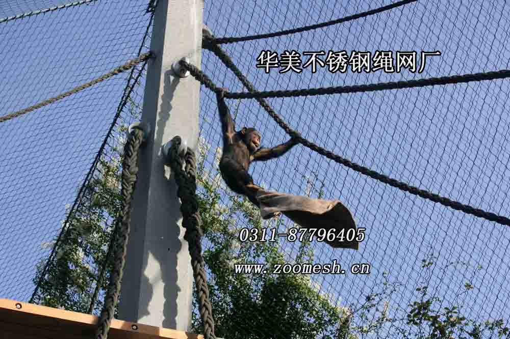 不锈钢动物园围栏网、大猩猩笼舍网.jpg