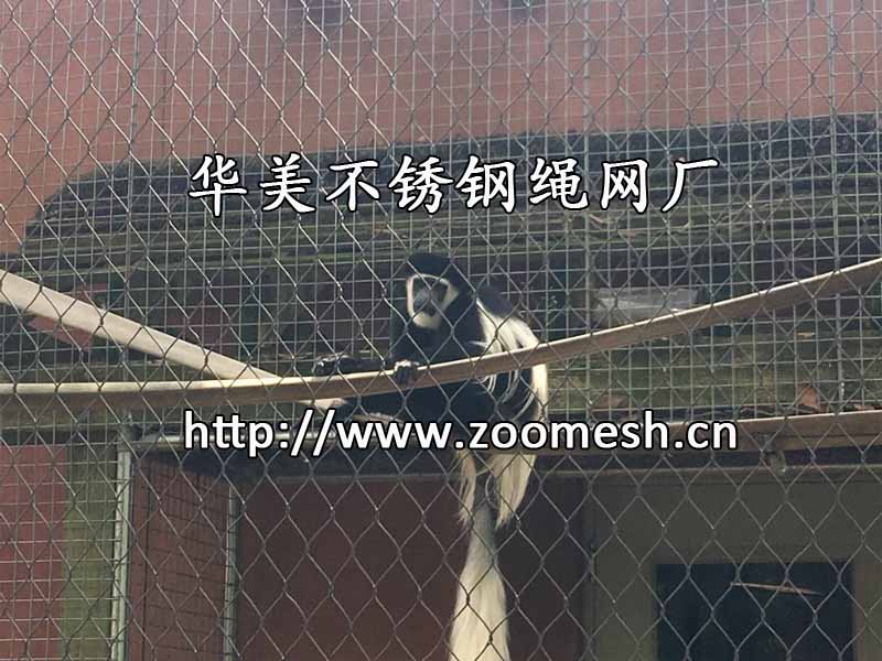不锈钢猴围网、动物围栏网、动物笼舍网.jpg