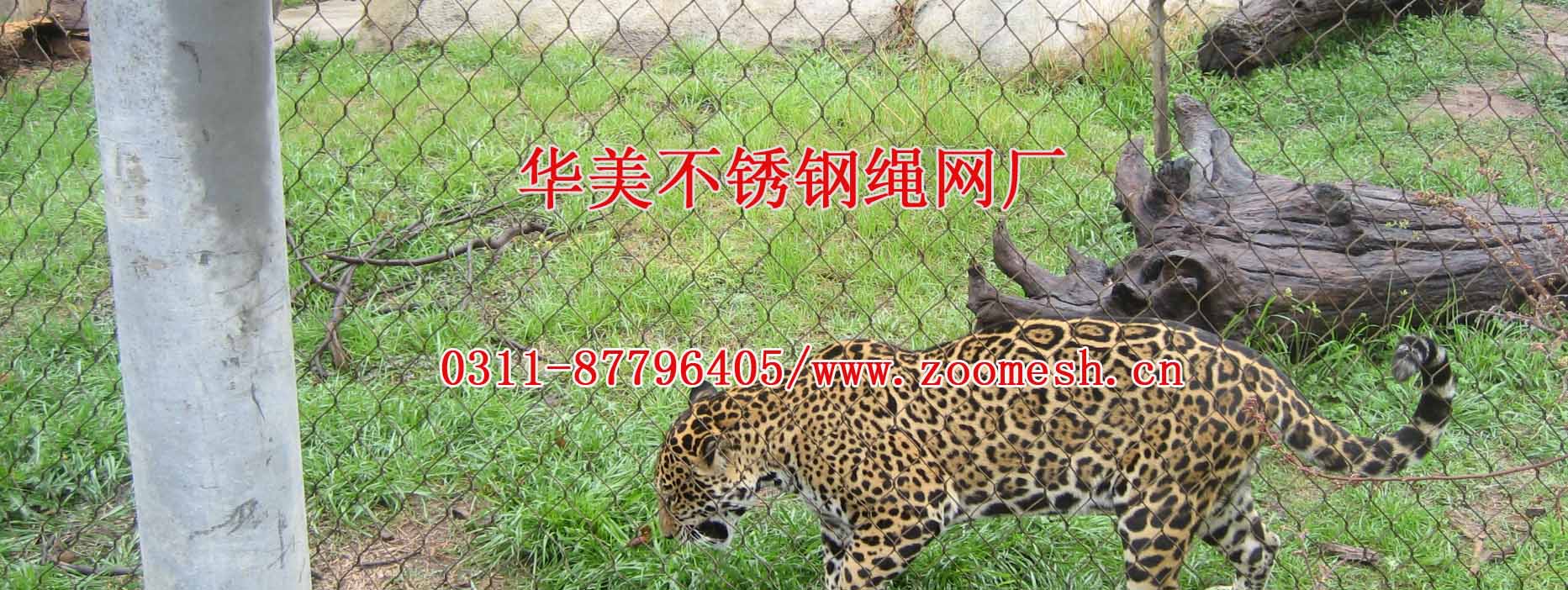 不锈钢动物园电缆网用于建造豹子笼舍.jpg