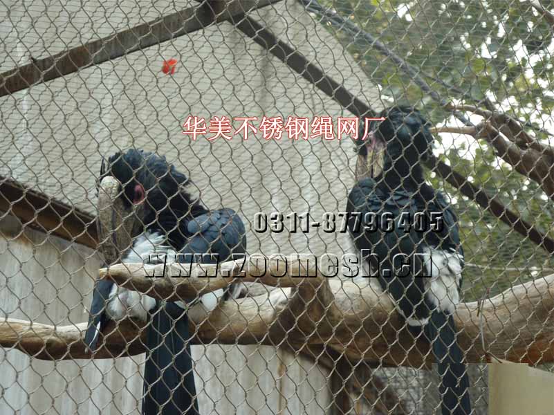 不锈钢鸟笼网、大型鸟舍网.jpg
