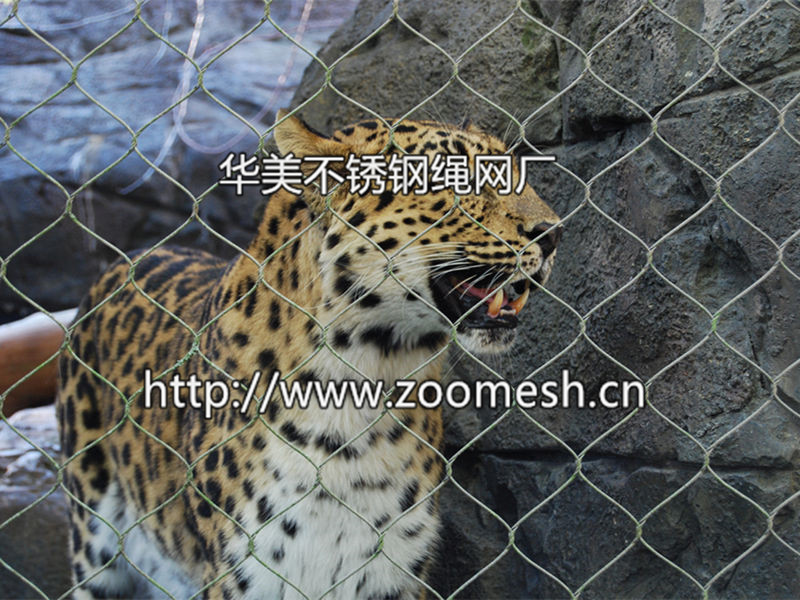 豹围网，豹笼舍，动物笼舍，动物围网