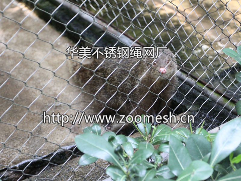 猫科动物围网、动物围网、动物笼舍