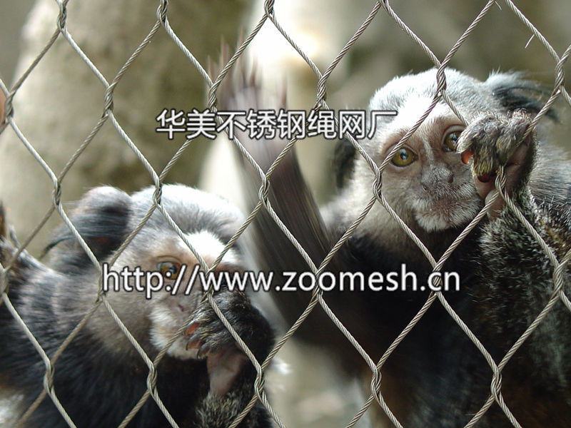 小型猫科围栏网、动物围网、动物笼舍