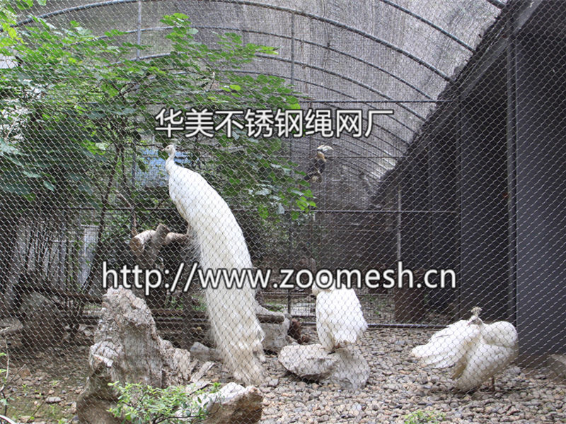 鸟语林网、鸟围网、鸟笼舍、不锈钢鸟网、孔雀围网