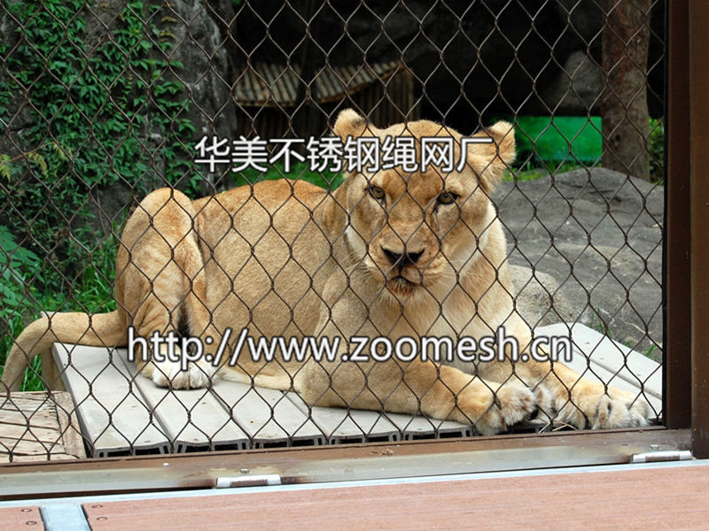 老虎围网、老虎笼舍、不锈钢绳网、动物围网、动物笼舍