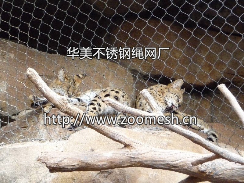 豹围网、豹笼舍、豹子笼舍、老虎围网、老虎笼舍、狮子围网