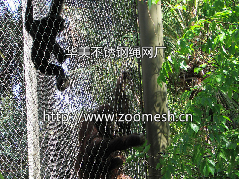 猩猩围网、猩猩笼舍、猩猩围栏网、狒狒笼舍、猴围网、猴笼舍