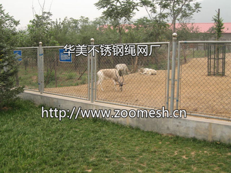 羚羊围网、鹿围网、食草类动物围栏网、动物围网、动物笼舍