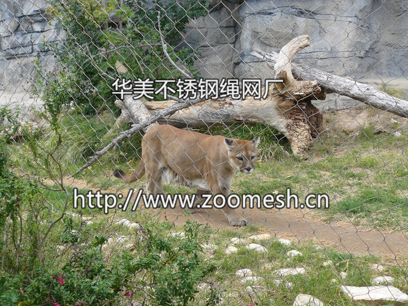 动物围栏网、动物园围网、动物专用网、动物防护网