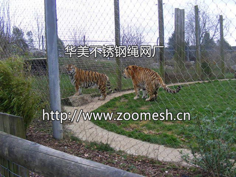 老虎围网、老虎笼舍网、动物园围网、动物围栏网、狮子笼舍