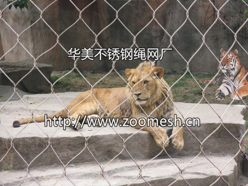 狮子笼舍围网、狮子防护网、不锈钢狮子围栏网
