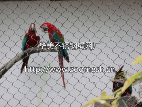 观赏性动物围网、孔雀围网、鹦鹉笼舍网、观赏动物防护网罩