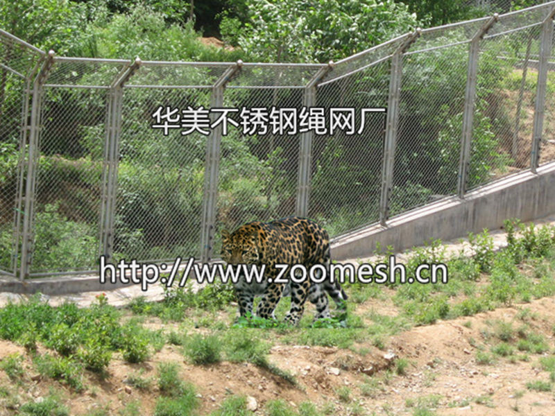 金钱豹围栏、云豹防护网、花豹围网、豹子笼舍网、黑豹围网、虎狮豹笼舍