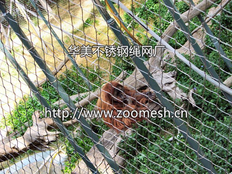 不锈钢绳网、钢丝绳编织网、不锈钢动物围网、笼舍网、安全防护网