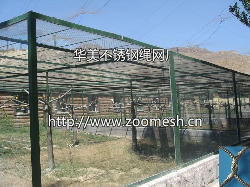 观赏鸟笼网、鹦鹉笼舍网、鸟园防护网、户外鸟园用网
