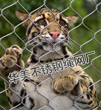 1老虎围栏网、笼舍网.jpg